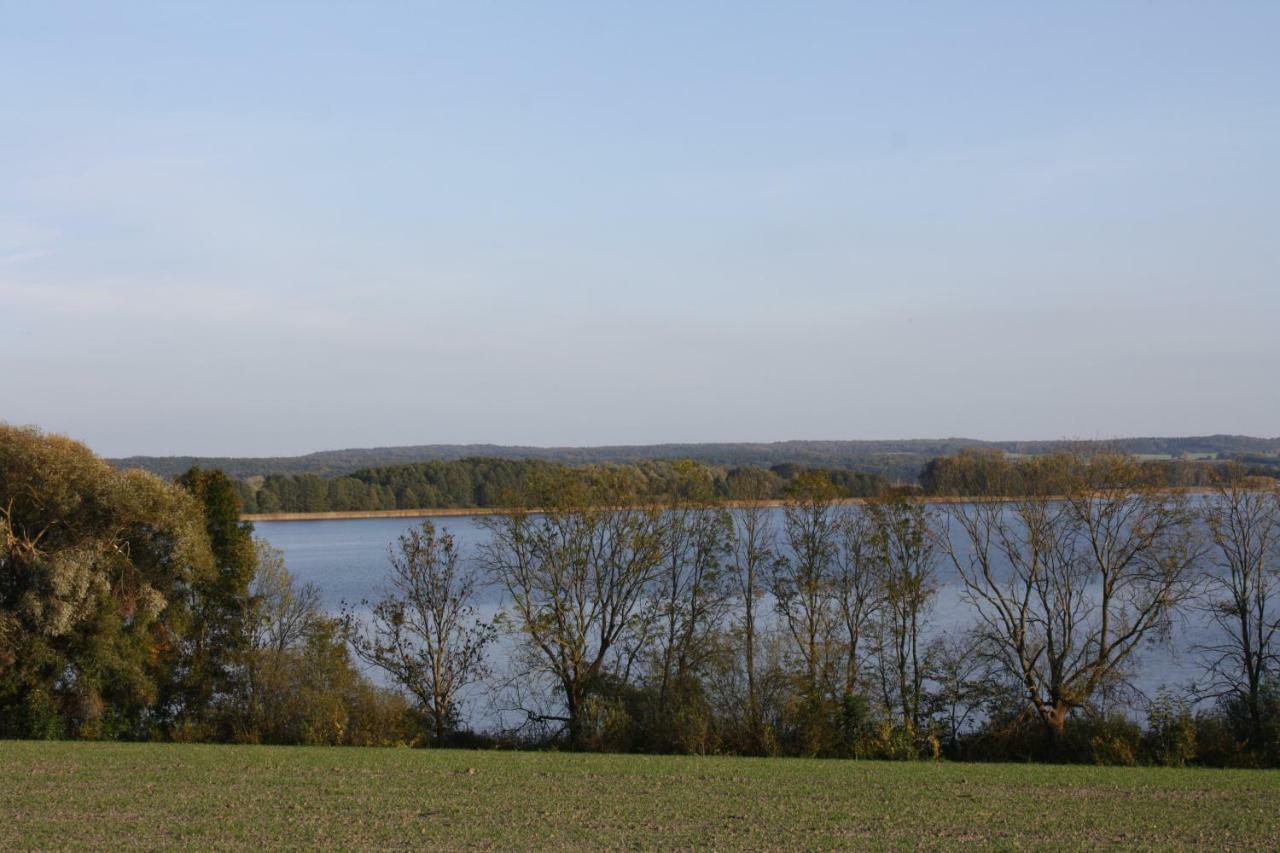 Landpension Zum Schweizerberg Neugrimnitz Exterior photo