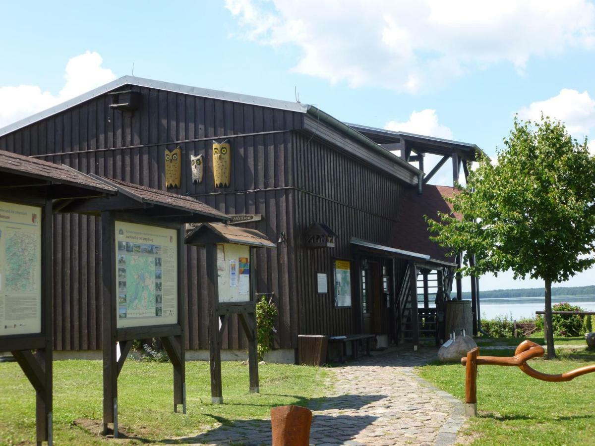 Landpension Zum Schweizerberg Neugrimnitz Exterior photo